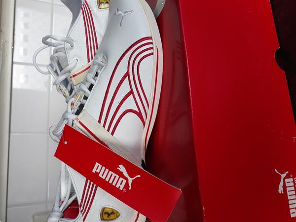 Grote foto sneakers puma ferrari kleding heren schoenen