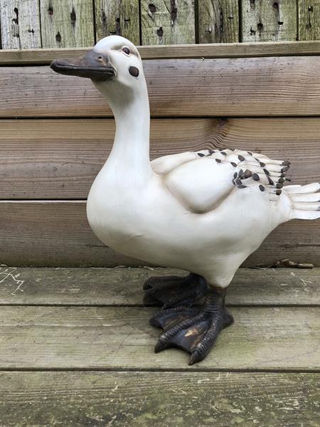 Grote foto tuinbeeld van een eend leuk beeld polyresin tuin en terras tuinbeelden en tuinkabouters