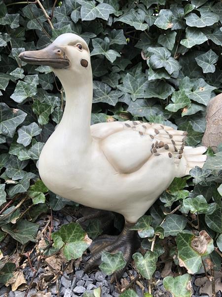 Grote foto tuinbeeld van een eend leuk beeld polyresin tuin en terras tuinbeelden en tuinkabouters