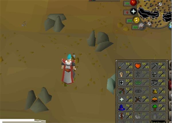 Grote foto runescape oldschool main account spelcomputers games overige