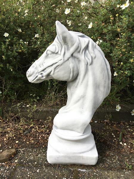 Grote foto sculptuur paardenhoofd steen tuinbeeld tuin en terras tuinbeelden en tuinkabouters