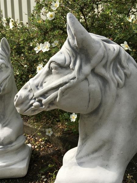 Grote foto sculptuur paardenhoofd steen tuinbeeld tuin en terras tuinbeelden en tuinkabouters