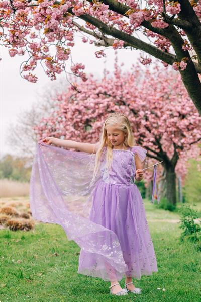 Grote foto frozen elsa paarse prinsessenjurk gratis accessoires kleding dames verkleedkleding