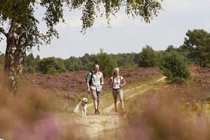 Grote foto de leukste adresjes voor een vakantie in drenthe vakantie nederland noord