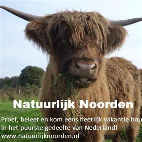 Grote foto de leukste adresjes voor een vakantie in drenthe vakantie nederland noord