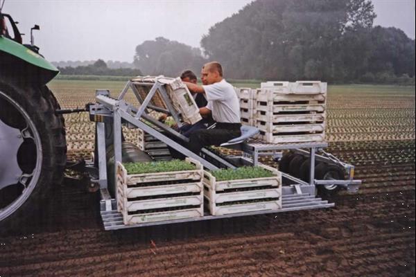 Grote foto van den beucken bandplantmachine voor perskluitjes agrarisch zaaimachines
