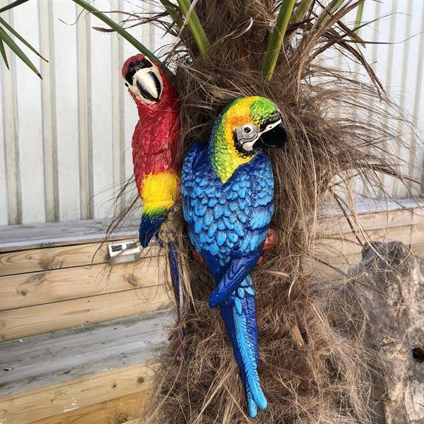 Grote foto set papegaaien in kleur wanddecoratie tuin en terras tuindecoratie