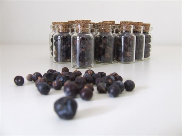 Grote foto jeneverbessen juniperus 50 gram sieraden tassen en uiterlijk dieet en afvallen