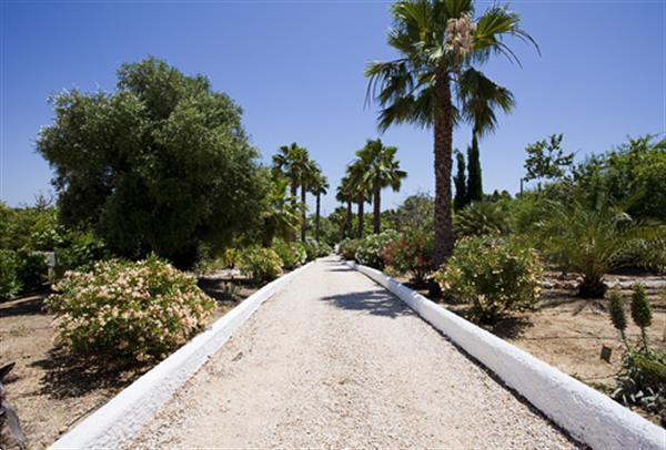 Grote foto algarve carvoeiro.vrijstaande villa zwembad. vakantie portugal