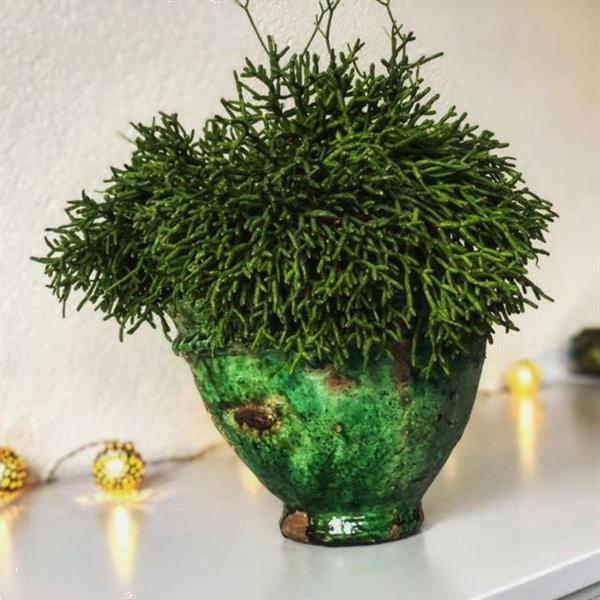 Grote foto tamegroute bloempot antiek en kunst glas en kristal