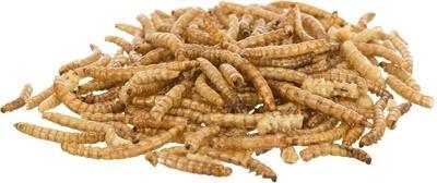 Grote foto trixie meelwormen gedroogd 200 gr dieren en toebehoren knaagdier accessoires