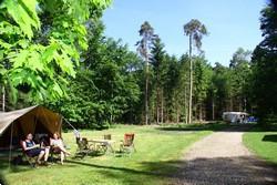 Grote foto heerlijke campings in drenthe vakantie campings