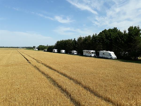 Grote foto heerlijke campings in drenthe vakantie campings