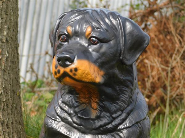 Grote foto beeld rottweiler tuinbeeld hond polystein tuin en terras tuinbeelden en tuinkabouters