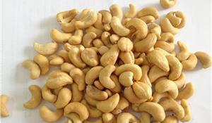 Grote foto vietnamese cashew nut kernels sw320 lbw240 agrarisch fruit