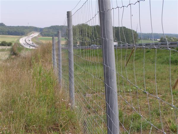 Grote foto kunststof palen dieren en toebehoren stalling en weidegang