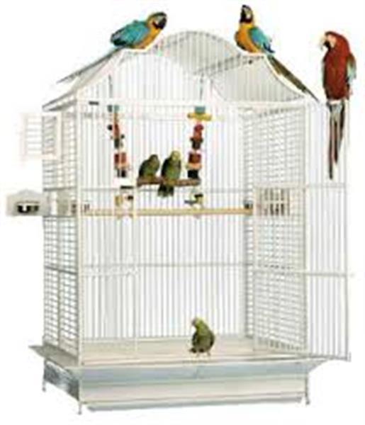 Grote foto gratis papegaaien kooi bij aankoop papegaai dieren en toebehoren overige