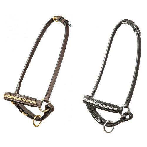 Grote foto falabella shetlander show hoofdstellen dieren en toebehoren paarden accessoires