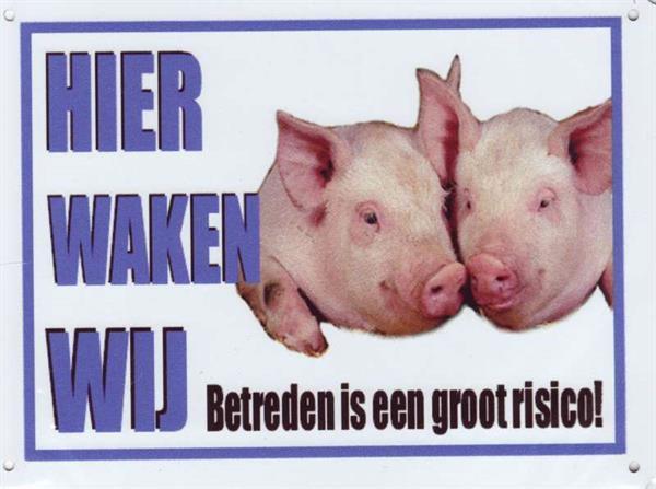 Grote foto waakbord varkens dieren en toebehoren overige