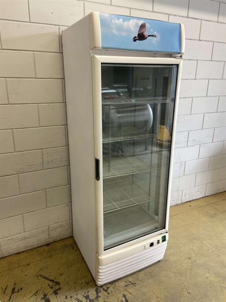 Grote foto framec glasdeur glazen deur vrieskast vriezer 363 liter 230v diversen overige diversen