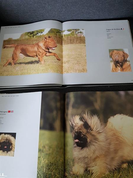 Grote foto 2 eukanuba boeken over honden 6 talig boeken overige boeken