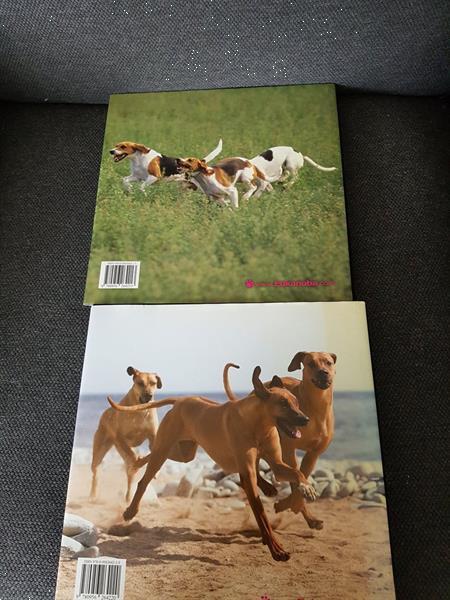 Grote foto 2 eukanuba boeken over honden 6 talig boeken overige boeken