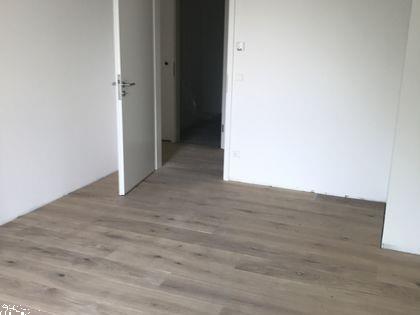 Grote foto kamer met postadres antwerpen belgie te huur huizen en kamers kamers