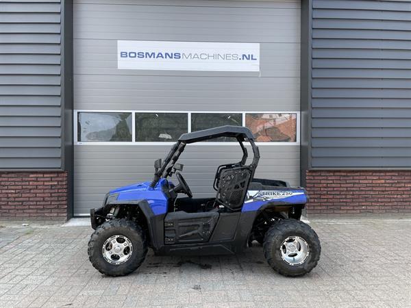 Grote foto hisun strike 250 kinder buggy polaris motoren buggy en quad