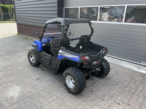 Grote foto hisun strike 250 kinder buggy polaris motoren buggy en quad