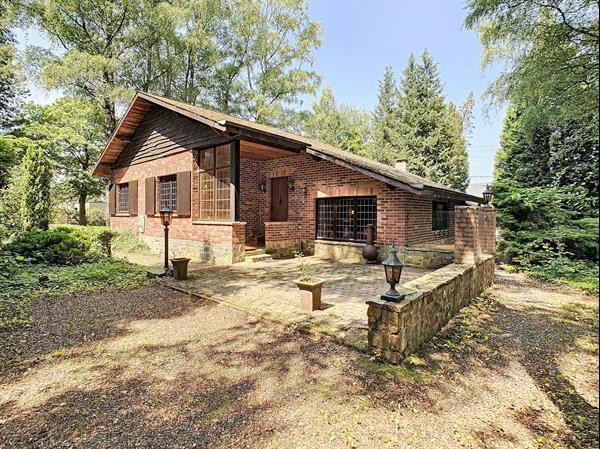 Grote foto hodister condrogest immobilier vastgoed in de ardennen huizen en kamers vrijstaand