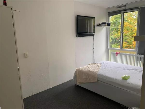 Grote foto room in amsterdam huizen en kamers appartementen en flats