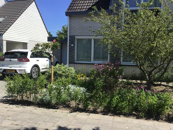 Grote foto tijdelijk onbewoond woonhuis vakantie nederland zuid