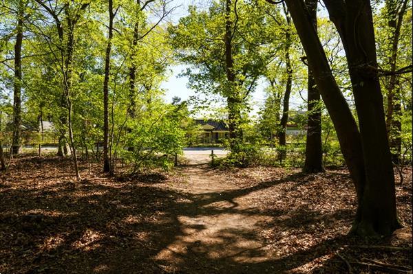 Grote foto villa voor 8 personen met sauna op de veluwe in voorthuizen vakantie nederland midden