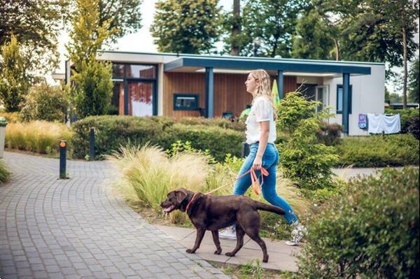 Grote foto vakantievilla voor 4 personen m t huisdier op vakantiepark i vakantie nederland midden