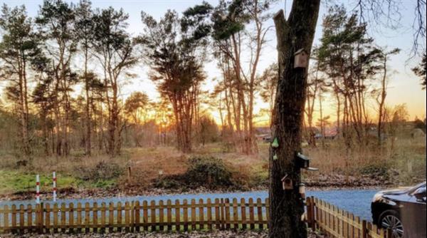 Grote foto ruim chalet voor 4 personen in hattemerbroek vakantie nederland midden