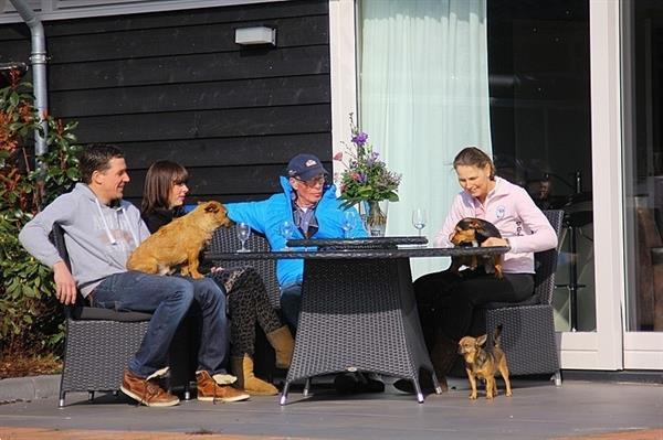 Grote foto vakantiehuizen in wenum wiesel op landgoed met zwembad en we vakantie nederland midden