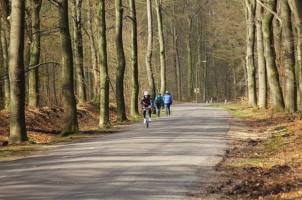 Grote foto vakantiehuizen in wenum wiesel op landgoed met zwembad en we vakantie nederland midden