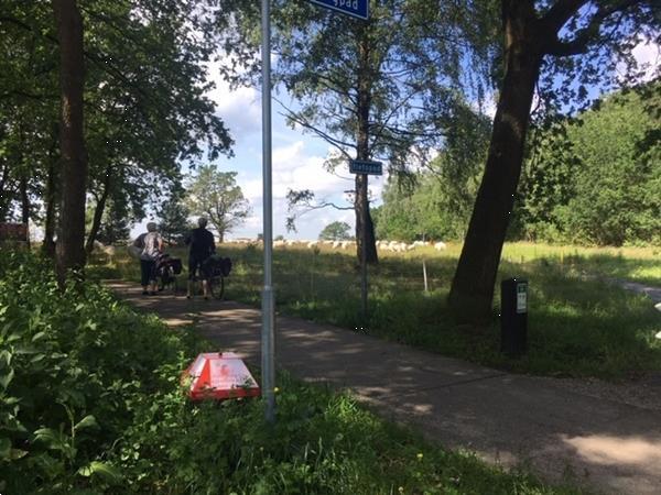 Grote foto chalet roodborstje in vierhouten vakantie nederland midden