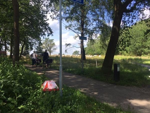 Grote foto chalet roodborstje in vierhouten vakantie nederland midden