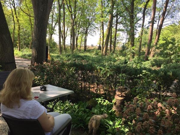 Grote foto chalet roodborstje in vierhouten vakantie nederland midden