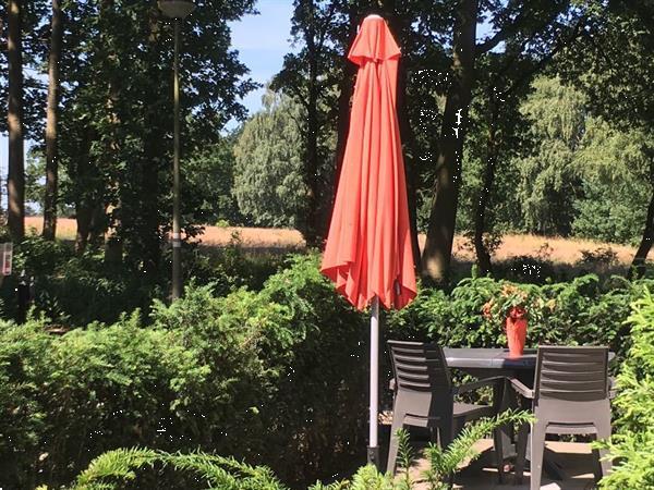 Grote foto chalet roodborstje in vierhouten vakantie nederland midden