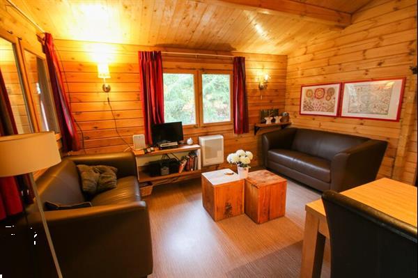 Grote foto fins vakantiehuis met sauna voor 4 personen op de veldkamp i vakantie nederland midden