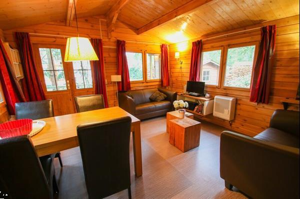 Grote foto fins vakantiehuis met sauna voor 4 personen op de veldkamp i vakantie nederland midden