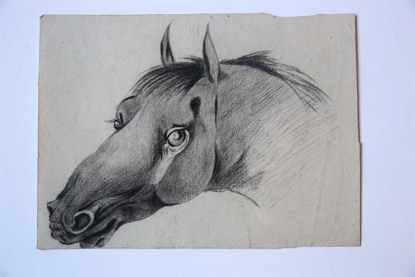 Grote foto head of a horse tekening van het hoofd van een paard . antiek en kunst kunst