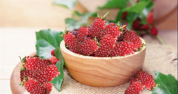 Grote foto tummelbes een onbekende vrucht die zo lekker is. tuin en terras fruitbomen