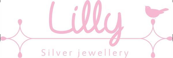 Grote foto lilly zilveren kindercollier met disc hanger en goudkleurig kleding dames sieraden