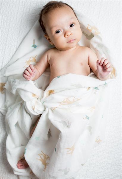 Grote foto hydrofiele doek little fawn katoen 120x120cm lulujo kinderen en baby dekens en slaapzakjes