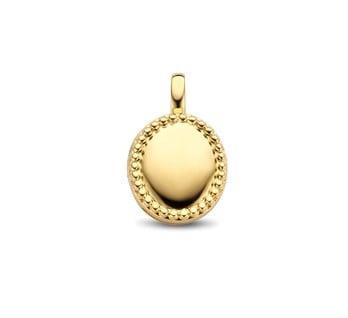 Grote foto ovalen zilveren medaillon met goudkleurige coating sieraden tassen en uiterlijk bedels en hangers