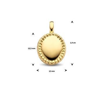 Grote foto ovalen zilveren medaillon met goudkleurige coating sieraden tassen en uiterlijk bedels en hangers