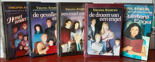 Grote foto aangeboden 5 boeken van virginia andrwes boeken romans